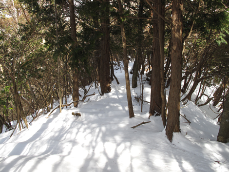20140211hike (138)